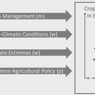 Crop farm efficiency and climate extremes in Germany