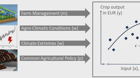 Crop farm efficiency and climate extremes in Germany