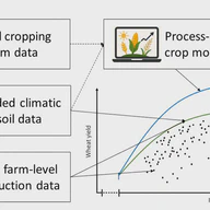 Assessing European wheat yield gaps (Work in Progress)